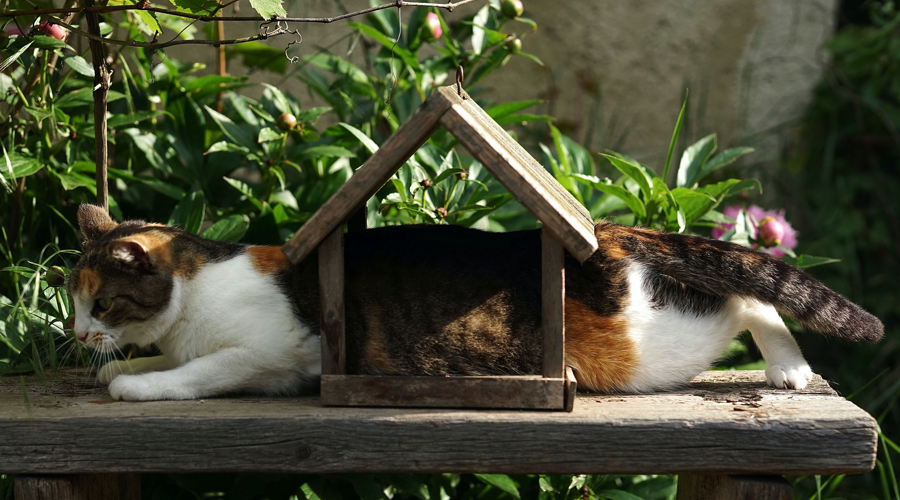 What is PMI? – Mortgage Insurance 101